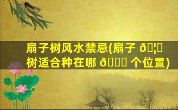 扇子树风水禁忌(扇子 🦆 树适合种在哪 🐝 个位置)